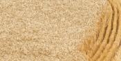 Grain Farming