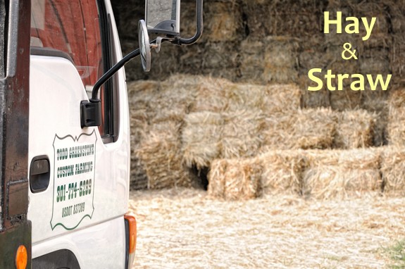 Todd Greenstone Hay and Straw